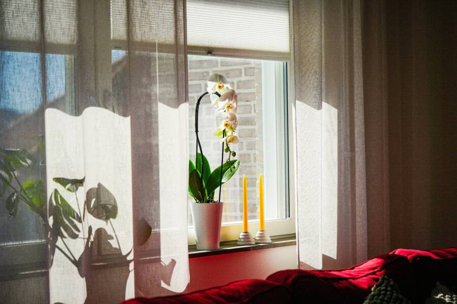 房間太熱，你不想把它密封起來嗎？採用遮陽、通風、窗簾等自然降溫方法