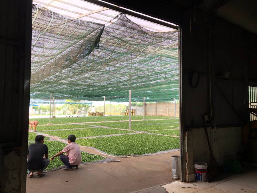 西式烘乾房一定會過熱嗎？揭開室內悶熱的真相並提出改進策略